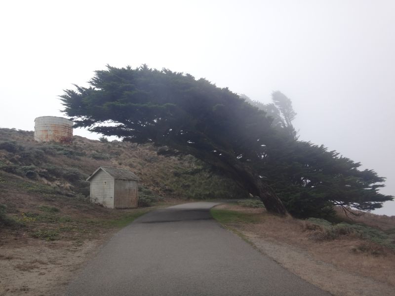 Point Reyes 